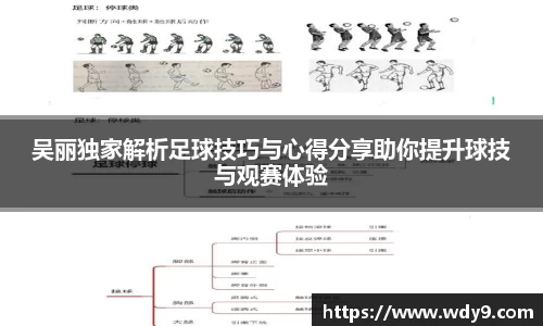 吴丽独家解析足球技巧与心得分享助你提升球技与观赛体验