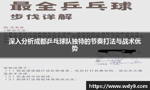 深入分析成都乒乓球队独特的节奏打法与战术优势