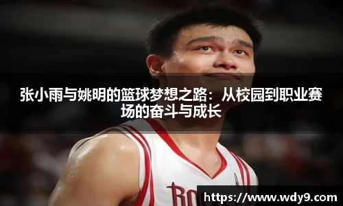 bsports必一体育